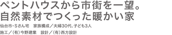 ペントハウスから市街を一望。 自然素材でつくった暖かい家