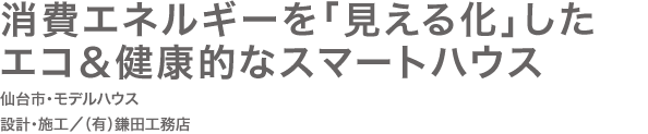 消費エネルギーを「見える化」したエコ＆健康的なスマートハウス